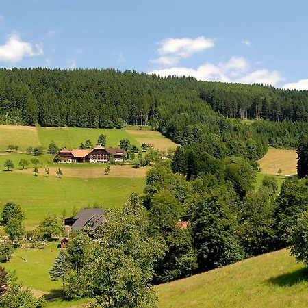 Apartmán Riehle Hof Zell am Harmersbach Exteriér fotografie