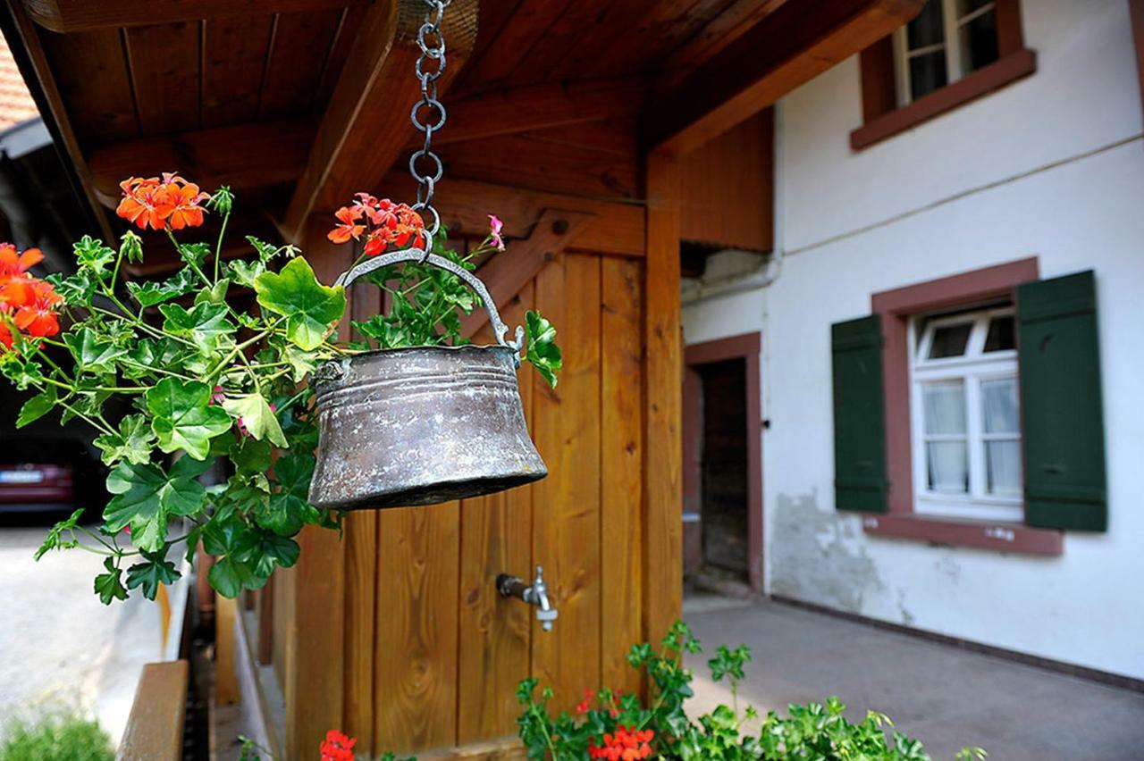 Apartmán Riehle Hof Zell am Harmersbach Exteriér fotografie