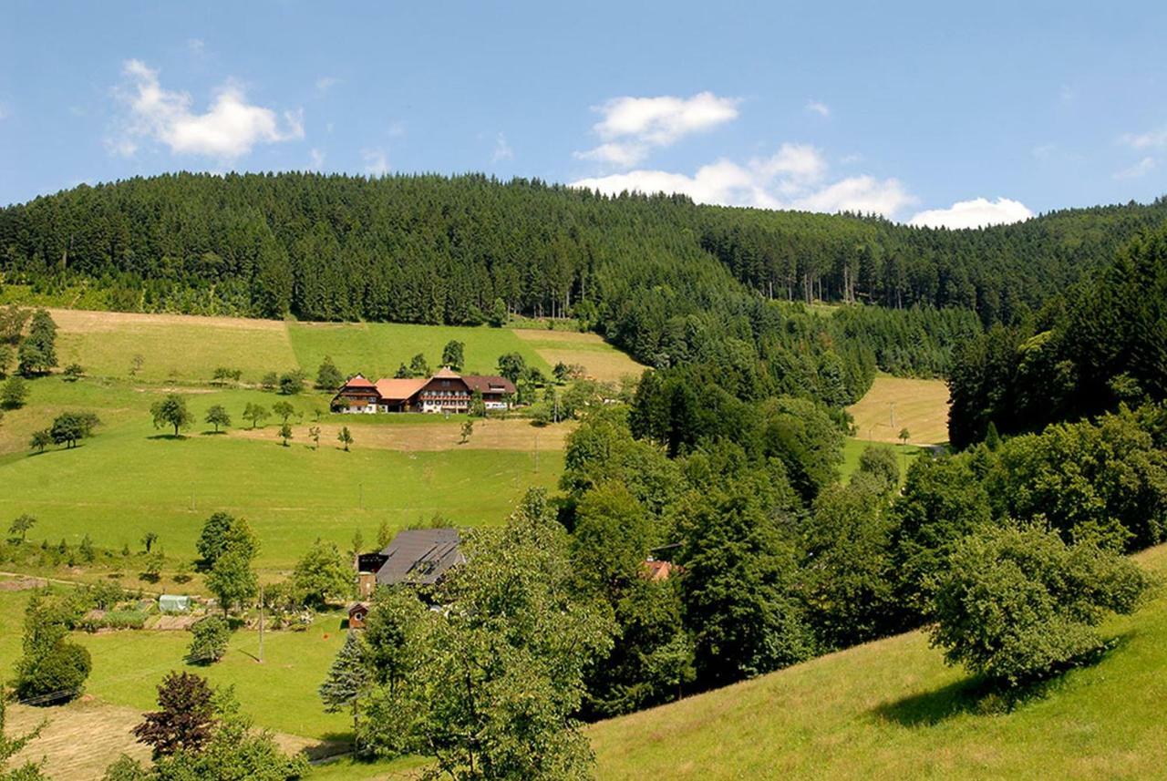 Apartmán Riehle Hof Zell am Harmersbach Exteriér fotografie