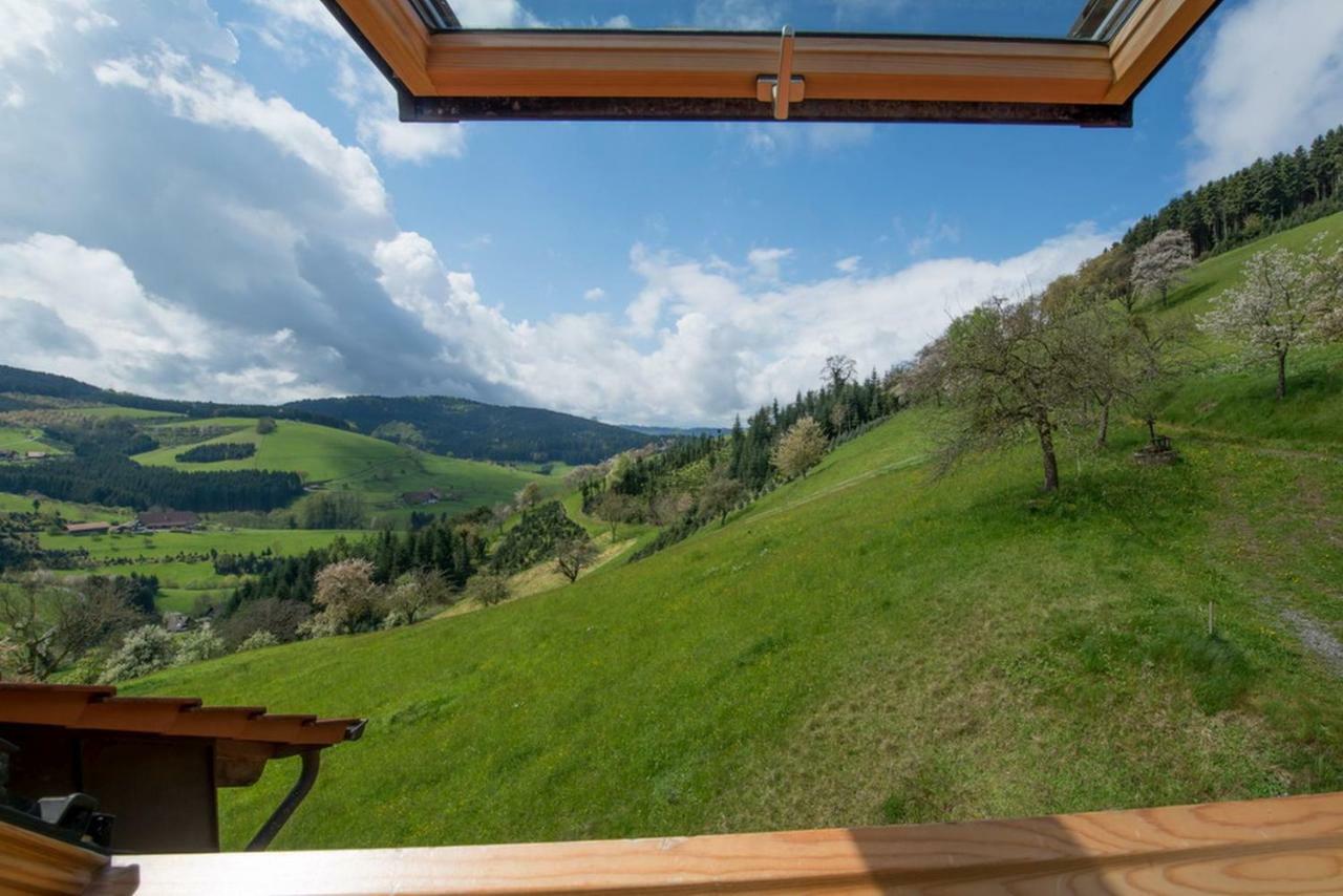 Apartmán Riehle Hof Zell am Harmersbach Exteriér fotografie